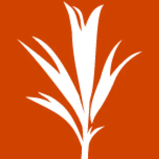 Development Seed